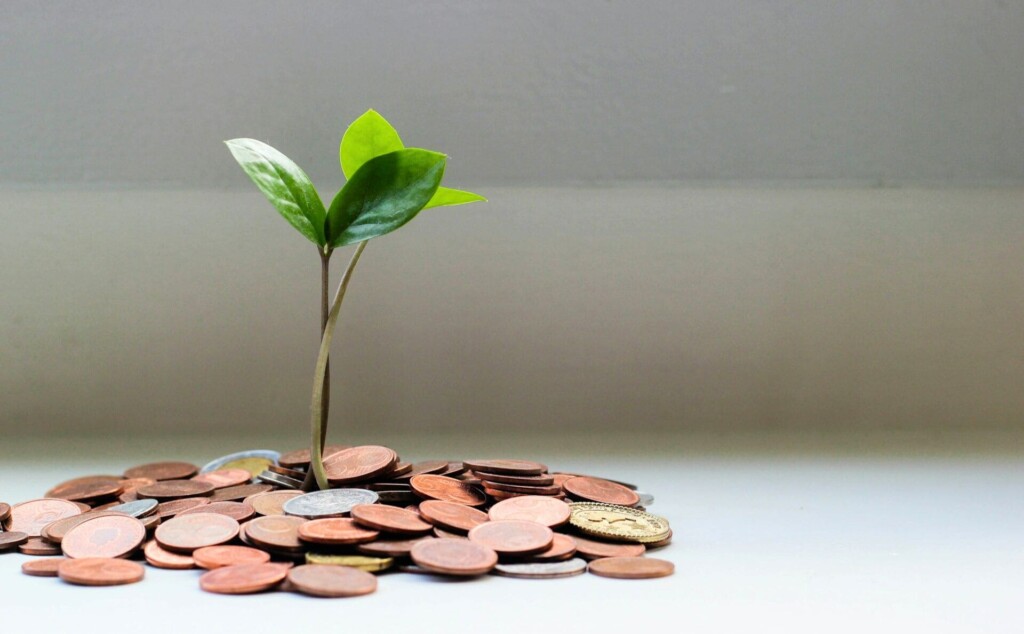 小銭から伸びる葉