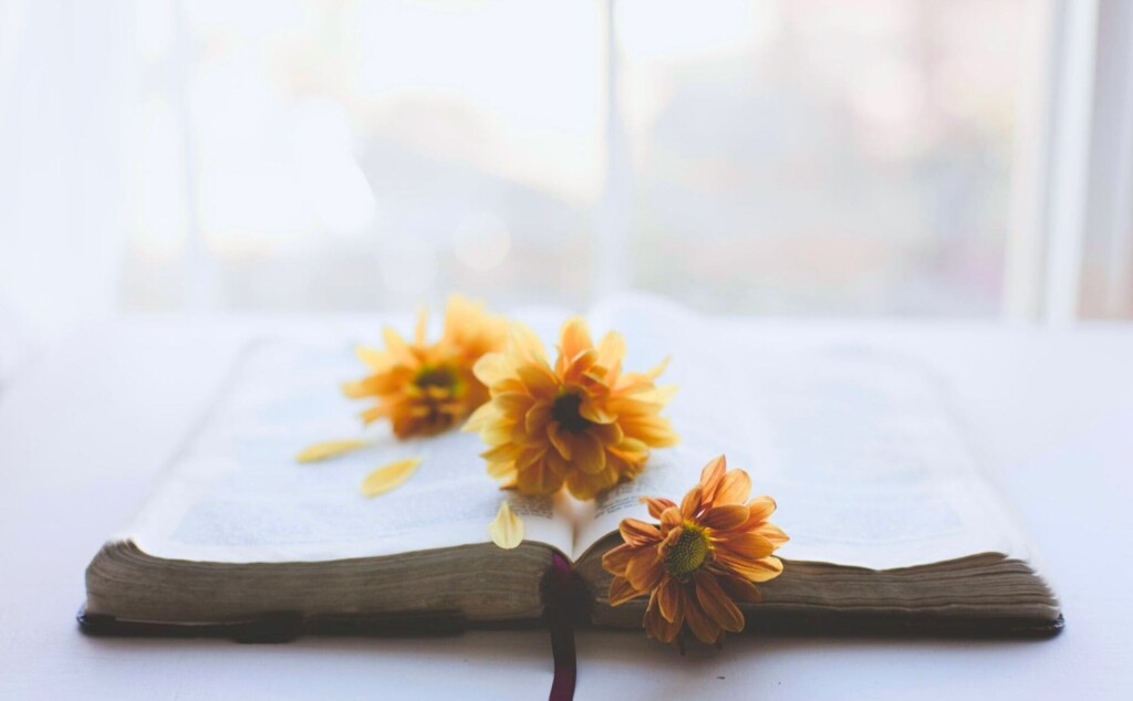 本の上に置かれたお花